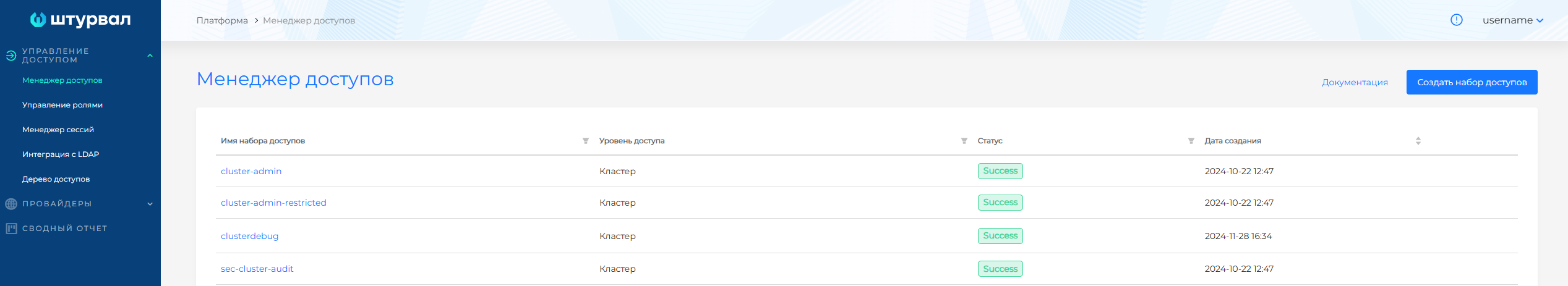 accessmanager1
