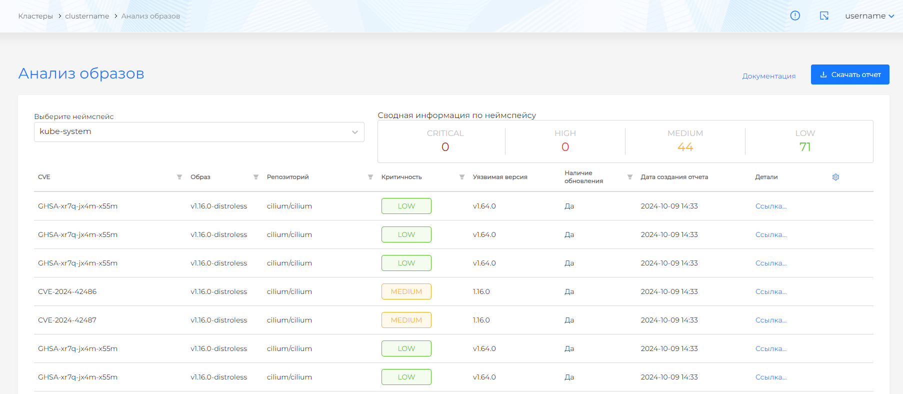 cvereport