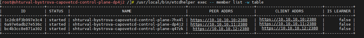 etcdexec1